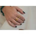 BAGUE RAMEAUX PIQUEES ACIER INOXYDABLE GOLD PETIT PRIX